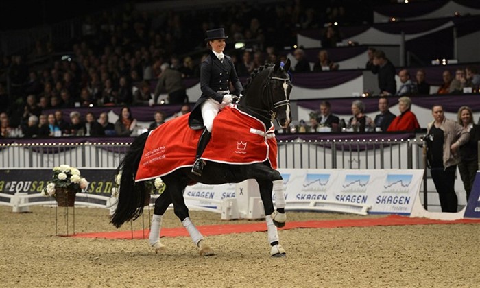 Nordic Dressage Champions 2015, Gørklintgårds Fanero and Lena Leschly-Åmand. They have been selected for the Danish national dressage team several times and represented Denmark at the World Cup in Gothenburg, 2015.